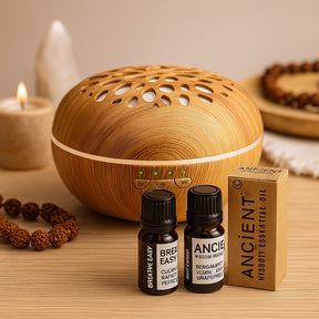 Essential Oil Diffuser Set With 2 Oils Oslo - SHAMTAM.COM