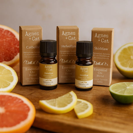 Essential Oils 3 - Pack, Citrus Uplift - SHAMTAM.COM