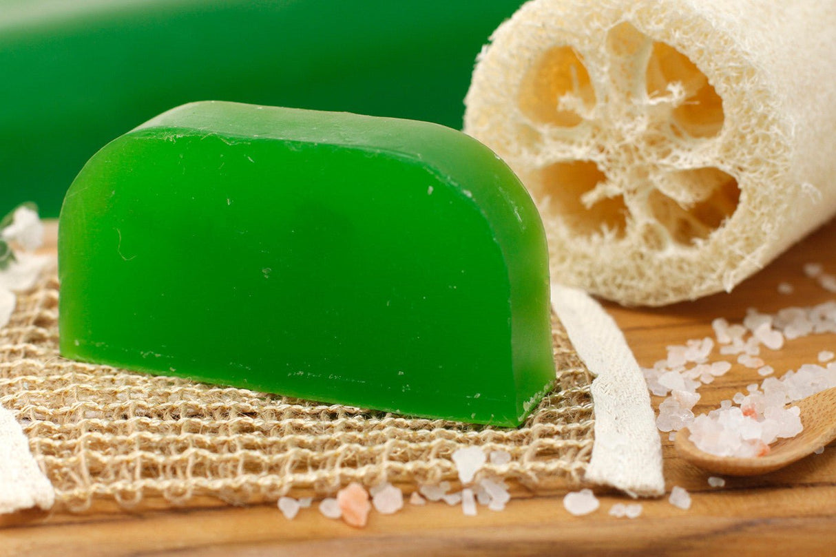 Solid Shampoo Loaf - Eucalyptus - Argan - SHAMTAM.COM