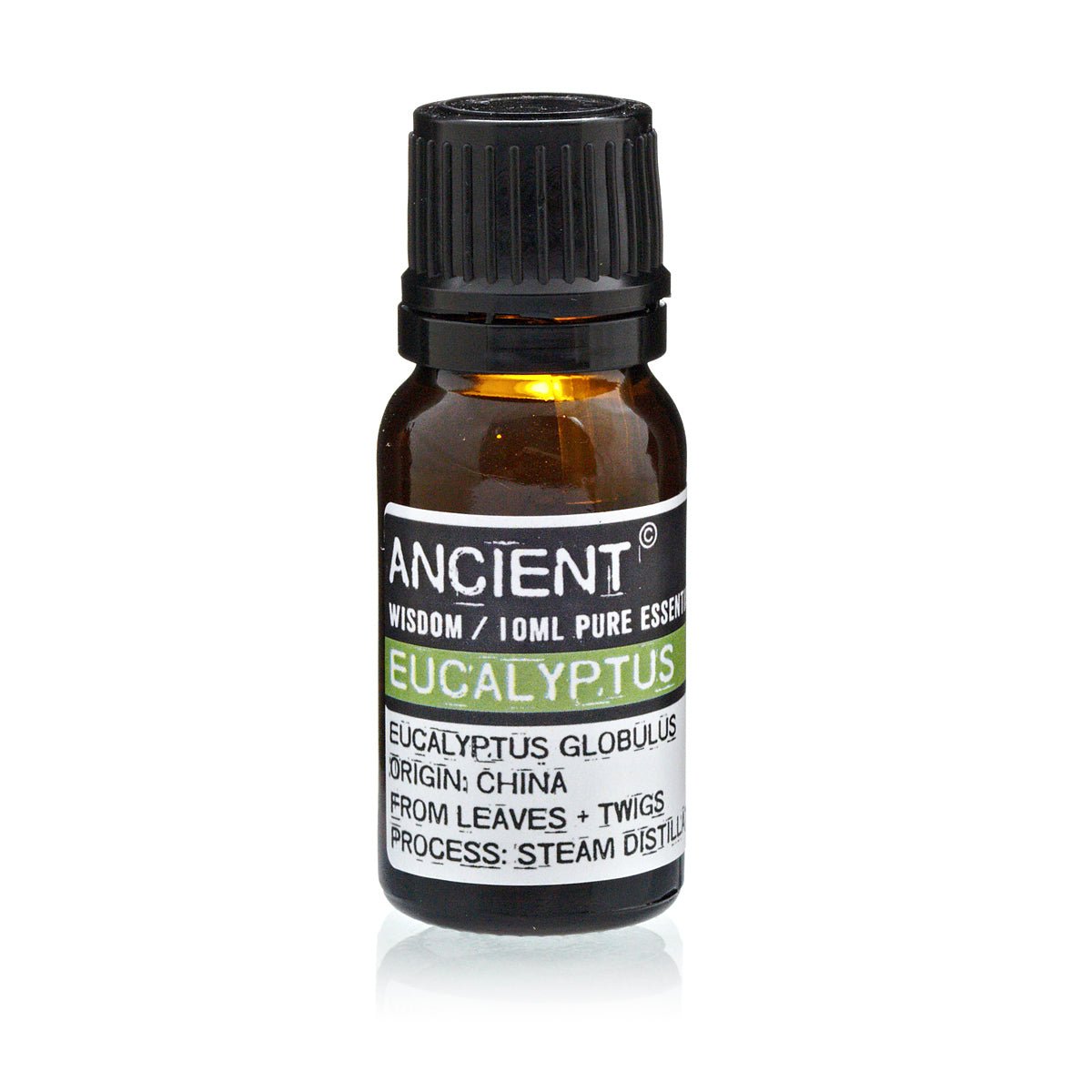 Eucalyptus Essential Oil 10 ml - SHAMTAM.COM