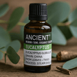 Eucalyptus Essential Oil Organic 50ml - SHAMTAM.COM