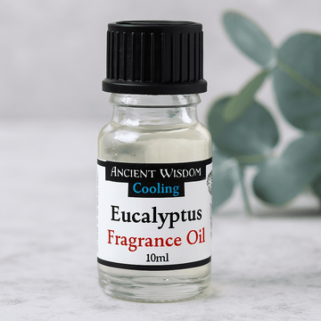 Eucalyptus Fragrance Oil, 10ml
