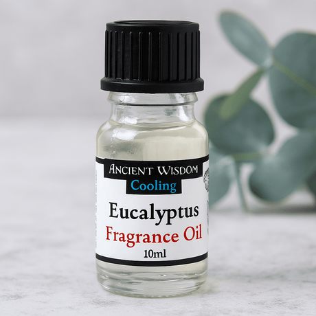 Eucalyptus Fragrance Oil 10ml - SHAMTAM.COM