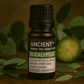 Eucalyptus Essential Oil Organic 10ml - SHAMTAM.COM