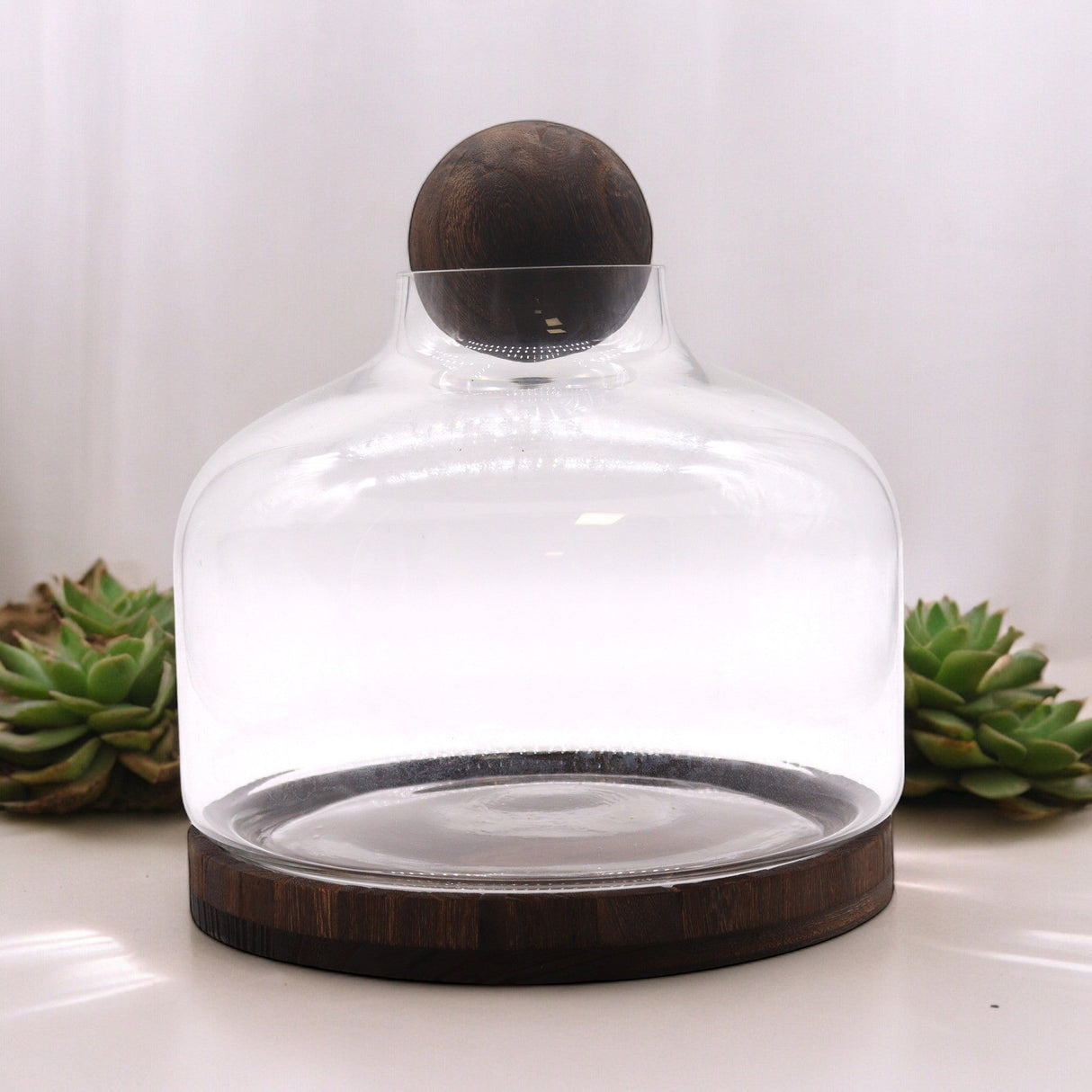 Ex - Large Ball Top Terarium on Dark Tung Wood - SHAMTAM.COM