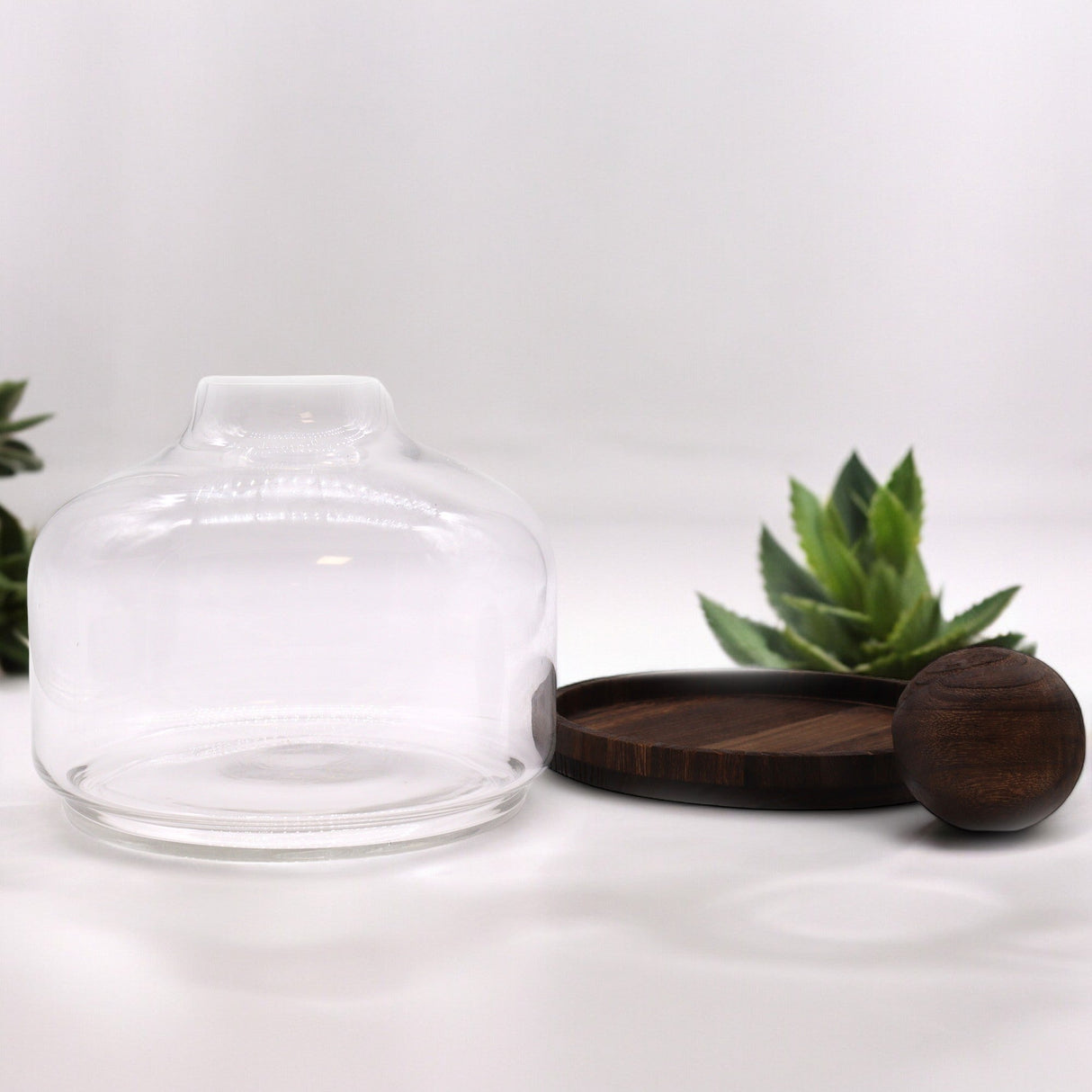 Ex - Large Ball Top Terarium on Dark Tung Wood - SHAMTAM.COM