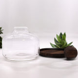 Ex - Large Ball Top Terarium on Dark Tung Wood - SHAMTAM.COM