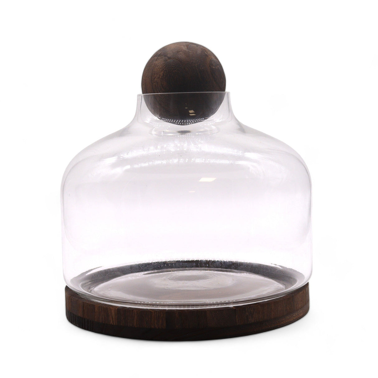 Ex - Large Ball Top Terarium on Dark Tung Wood - SHAMTAM.COM