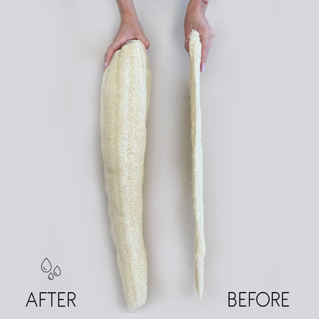 Exfoliating Loofah Whole Compressed 23cm Egyptian - SHAMTAM.COM