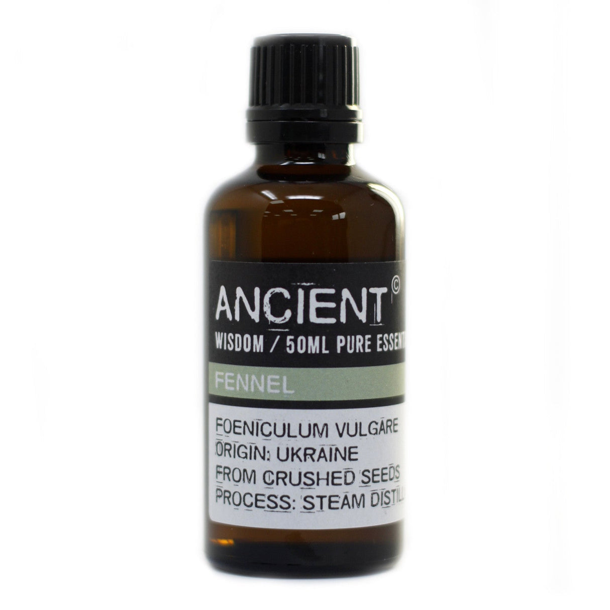 Fennel Essential Oil 50ml - SHAMTAM.COM