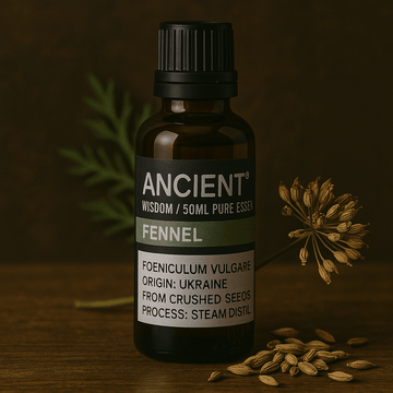 Fennel Essential Oil Steam Distilled 50ml