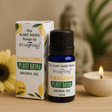 Fragrance Oil Energising Plant Based - SHAMTAM.COM