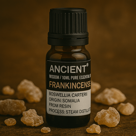 Frankincense Essential Oil Pure 10ml - SHAMTAM.COM