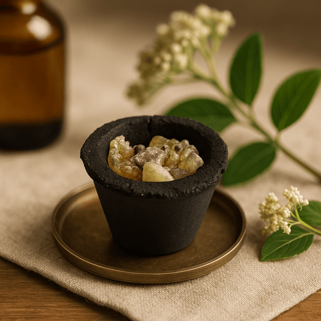 Frankincense Resin Incense Cups 12 Pack - SHAMTAM.COM