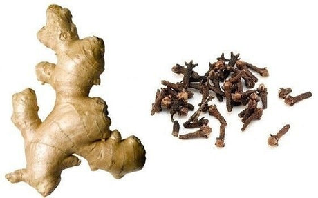 Ginger Clove Essential Oil Soap Bar 100g - SHAMTAM.COM