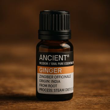 Ingwer Ätherisches Öl Dampfdestilliert 10ml