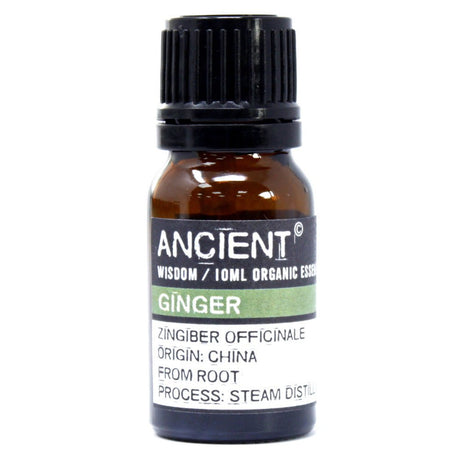 Ginger Essential Oil Organic 10ml - SHAMTAM.COM