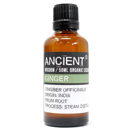 Ginger Essential Oil Organic 50ml - SHAMTAM.COM