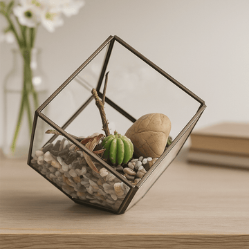Glas Terrarium Kubus på Hjørne