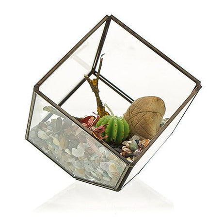 Glass Terrarium - Cube on Corner - SHAMTAM.COM