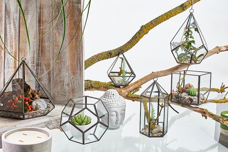 Glass Terrarium - Cube on Corner - SHAMTAM.COM