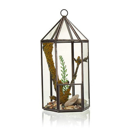 Glass Terrarium - Lantern Shape - SHAMTAM.COM