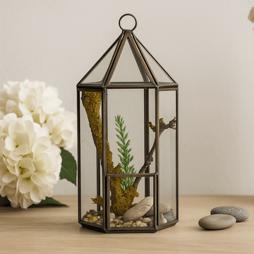 Terrario de Vidrio Forma de Linterna