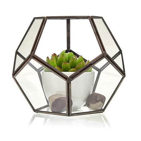 Glass Terrarium - Large Octagon - SHAMTAM.COM