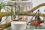 Glass Terrarium - Large Octagon - SHAMTAM.COM