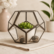 Glass Terrarium, Large Octagon - SHAMTAM.COM