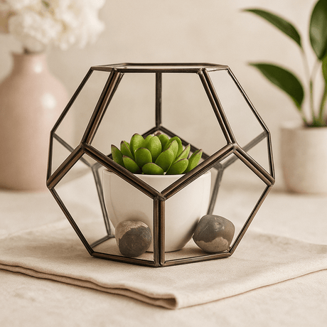Glass Terrarium, Large Octagon - SHAMTAM.COM