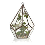 Glass Terrarium - Large Pentagon - SHAMTAM.COM