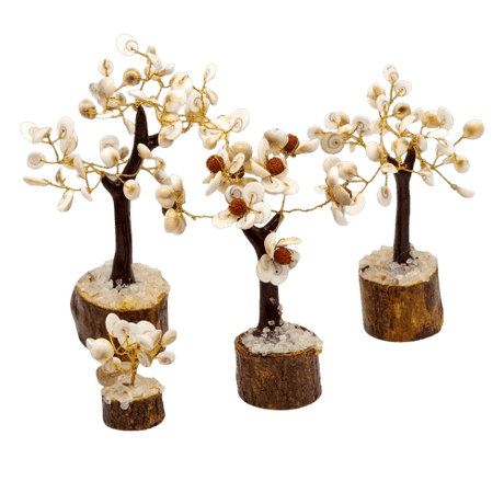 Gomati Chakra Stone Trees Set of 4 - SHAMTAM.COM