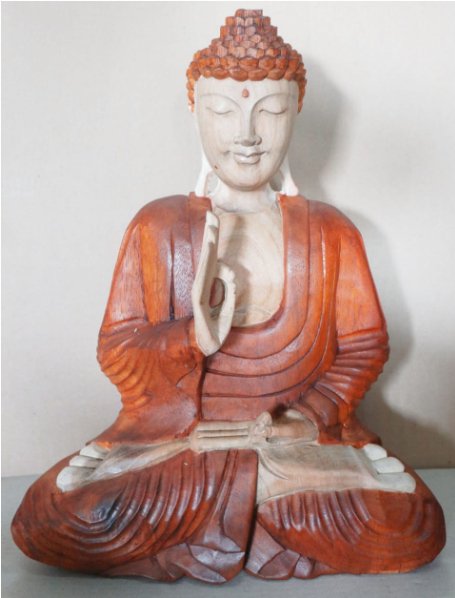 Hand Carved Buddha Statue - 40cm Teaching Transmission - SHAMTAM.COM