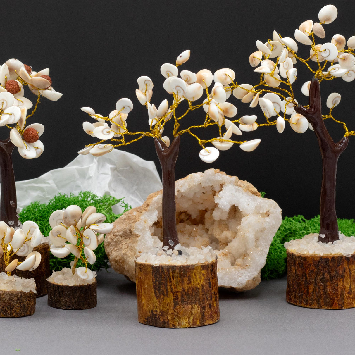 Handcrafted Gomati Chakra Stone Tree with 45 Healing Stones for Feng Shui and Meditation - SHAMTAM.COM
