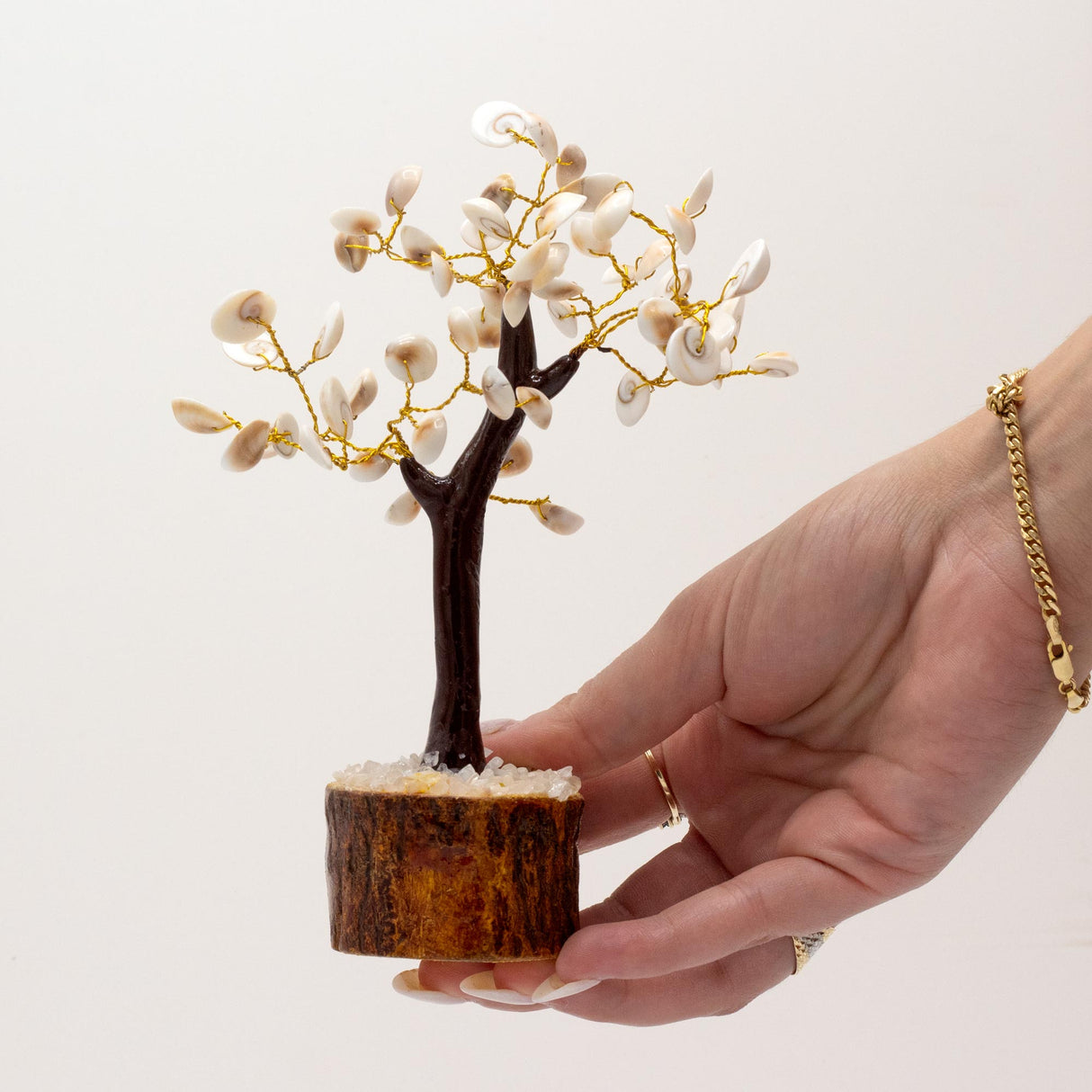Handcrafted Gomati Chakra Stone Tree with 60 Sacred Stones for Prosperity and Harmony – Natural Wooden Base Decor - SHAMTAM.COM