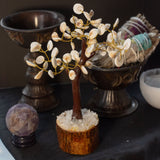 Handcrafted Gomati Chakra Stone Tree with 60 Sacred Stones for Prosperity and Harmony – Natural Wooden Base Decor - SHAMTAM.COM