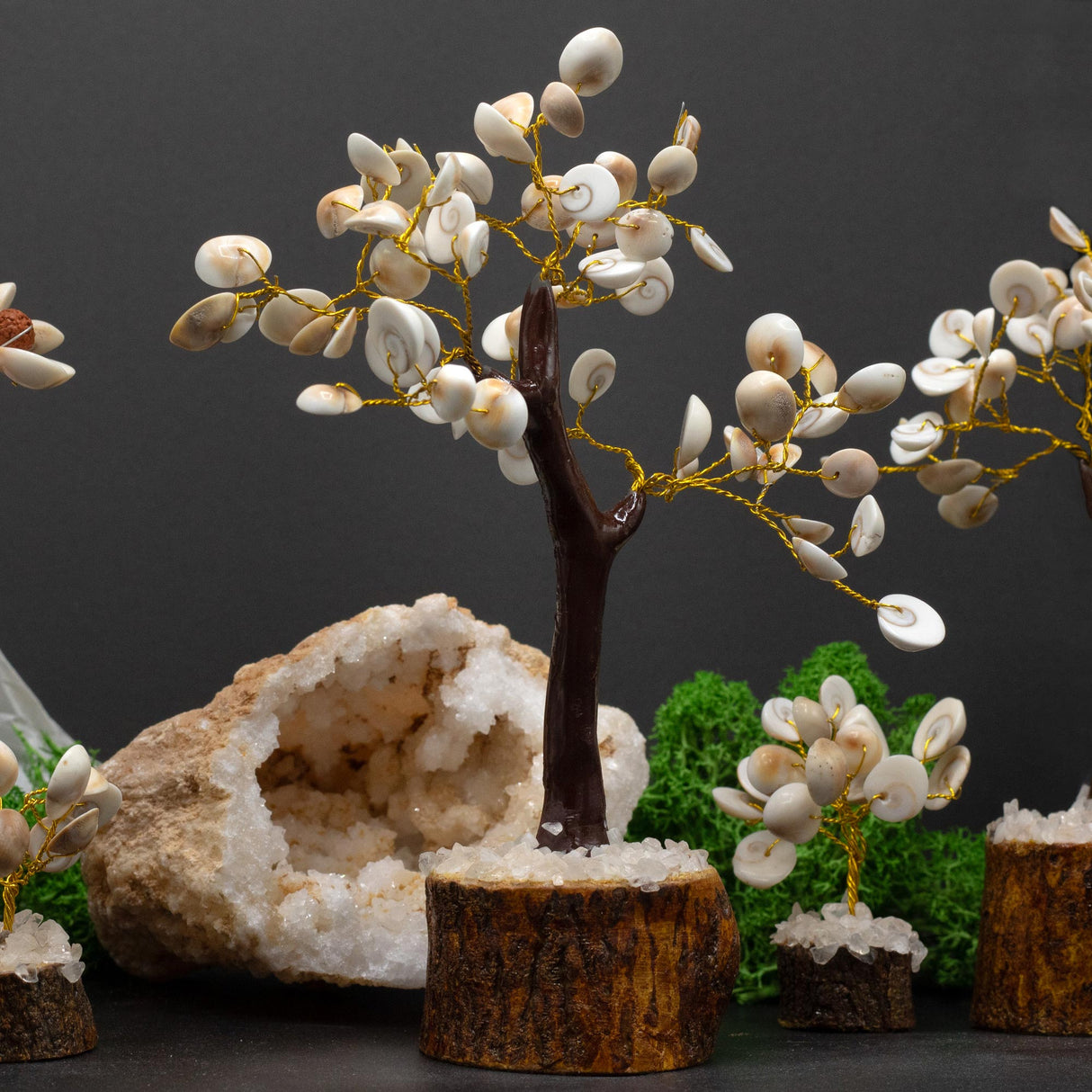 Handcrafted Gomati Chakra Stone Tree with 60 Sacred Stones for Prosperity and Harmony – Natural Wooden Base Decor - SHAMTAM.COM