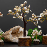Handcrafted Gomati Chakra Stone Tree with 60 Sacred Stones for Prosperity and Harmony – Natural Wooden Base Decor - SHAMTAM.COM