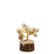 Handcrafted Gomati Chakra Stone Tree with Rudraksha Beads – 15 Sacred Stones for Spiritual Growth and Home Décor - SHAMTAM.COM