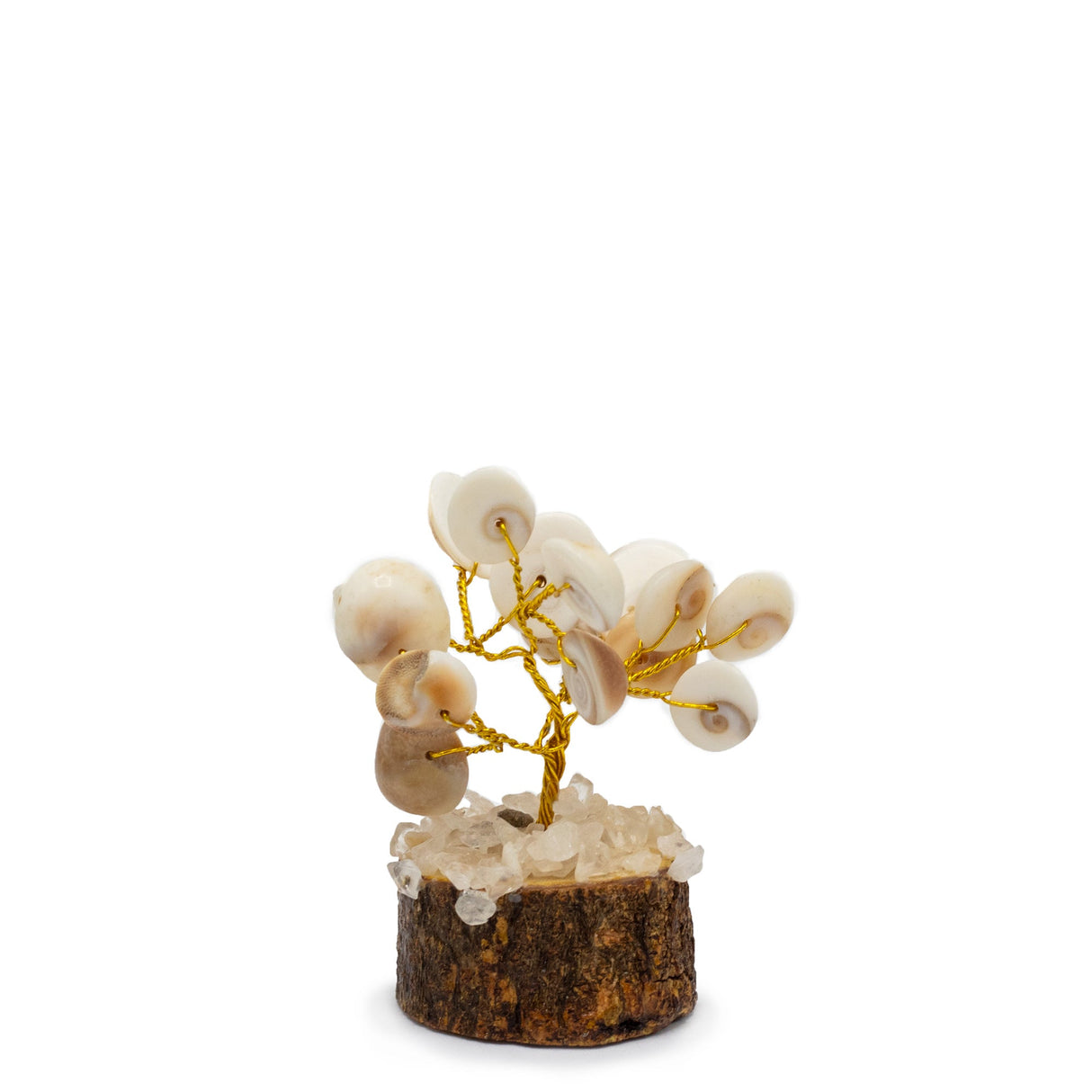 Handcrafted Gomati Chakra Stone Tree with Rudraksha Beads – 15 Sacred Stones for Spiritual Growth and Home Décor - SHAMTAM.COM