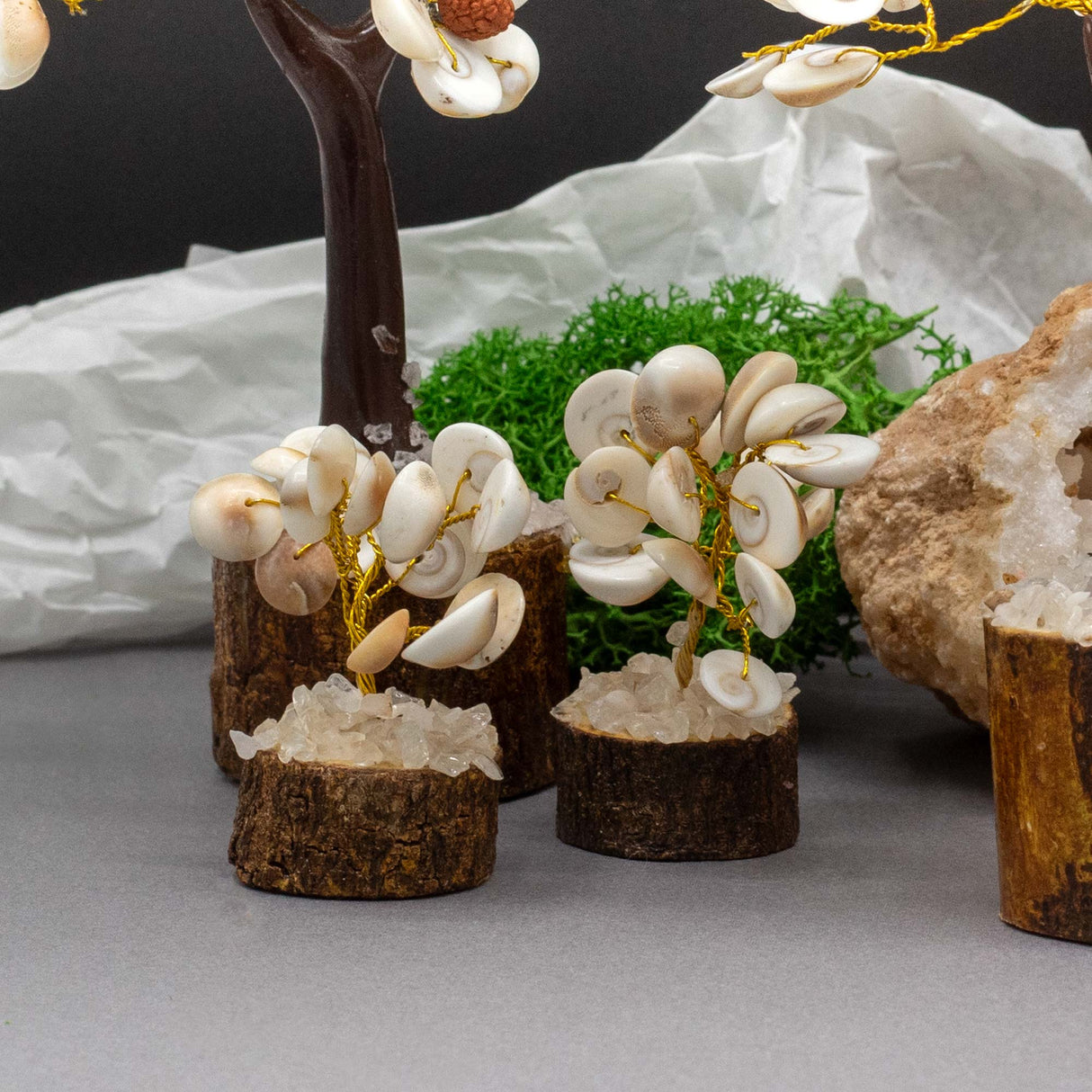 Handcrafted Gomati Chakra Stone Tree with Rudraksha Beads – 15 Sacred Stones for Spiritual Growth and Home Décor - SHAMTAM.COM