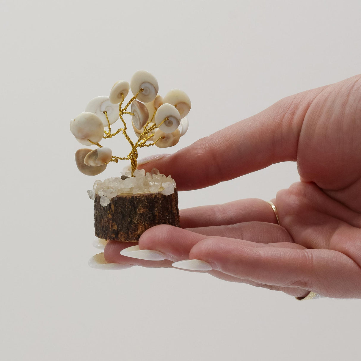 Handcrafted Gomati Chakra Stone Tree with Rudraksha Beads – 15 Sacred Stones for Spiritual Growth and Home Décor - SHAMTAM.COM