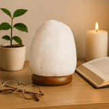 Himalayan Salt Lamp 1.5 - 2 kg - SHAMTAM.COM