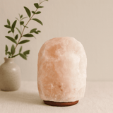 Himalayan Salt Lamp 24 - 25 kg - SHAMTAM.COM