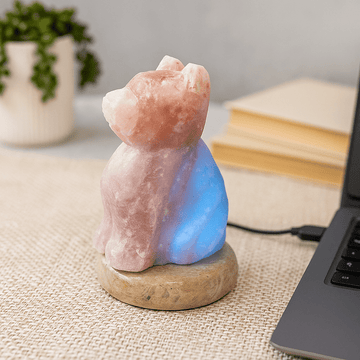 Himalayan Salt Lamp Dog Shaped USB Multicolour