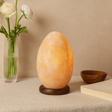 Lámpara de sal del Himalaya huevo con base de madera