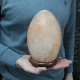 Himalayan Salt Lamp Egg - Wooden Base - SHAMTAM.COM