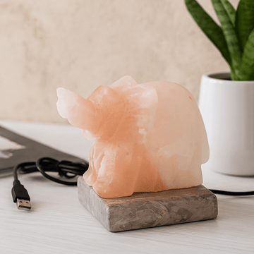 Himalayan Salt Lamp Elephant USB Colour Changing
