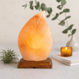 Himalayan Salt Lamp Fern Design - SHAMTAM.COM